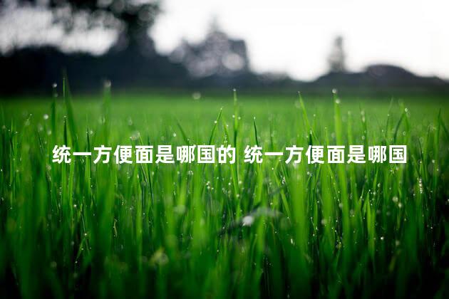 统一方便面是哪国的 统一方便面是哪国的企业